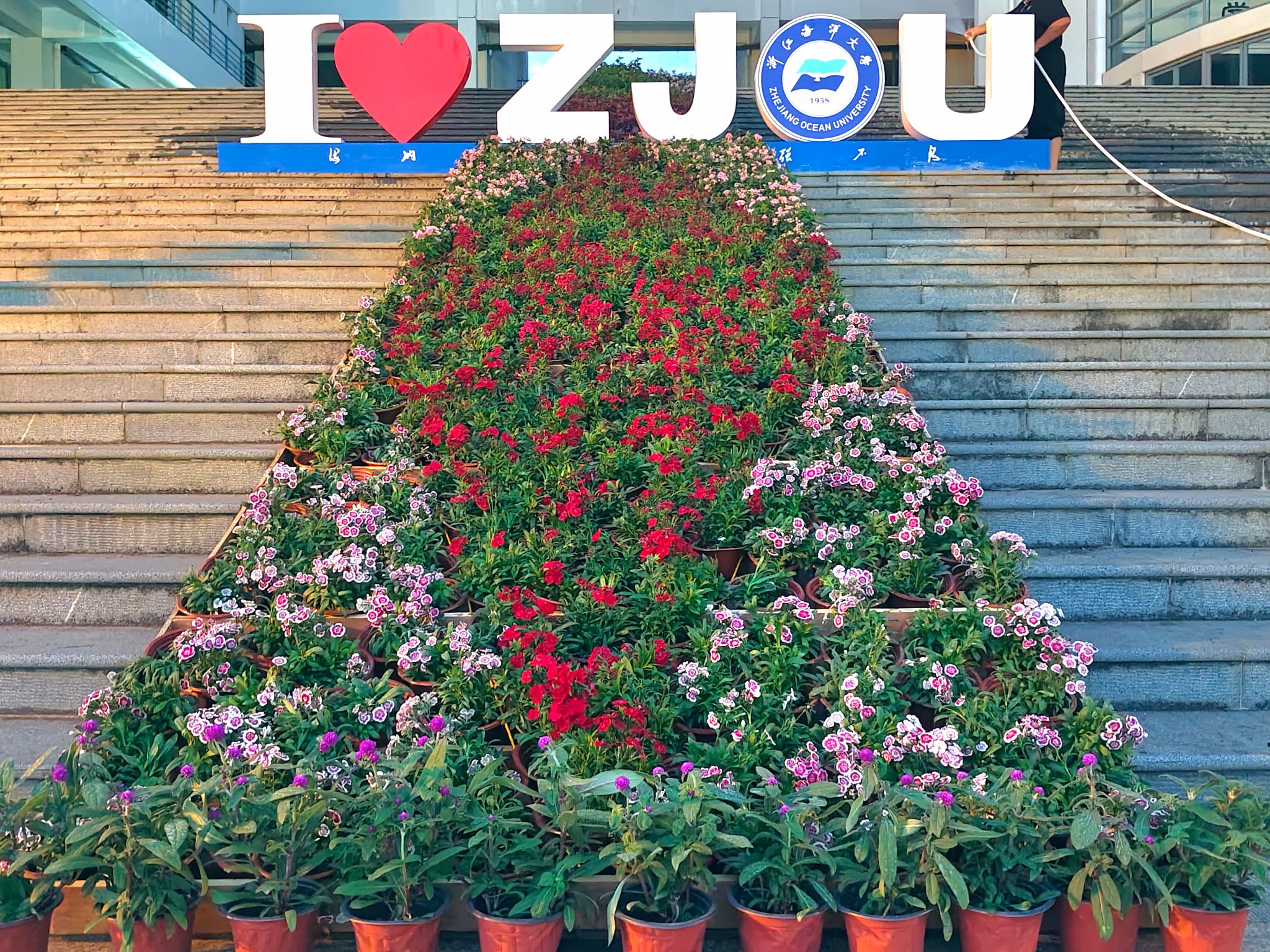 花卉现场图2.jpg