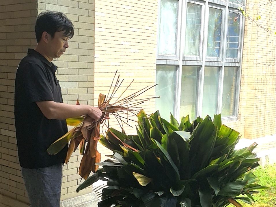 新城校区方雷主任检查(清理盆栽枯枝枯叶).jpg